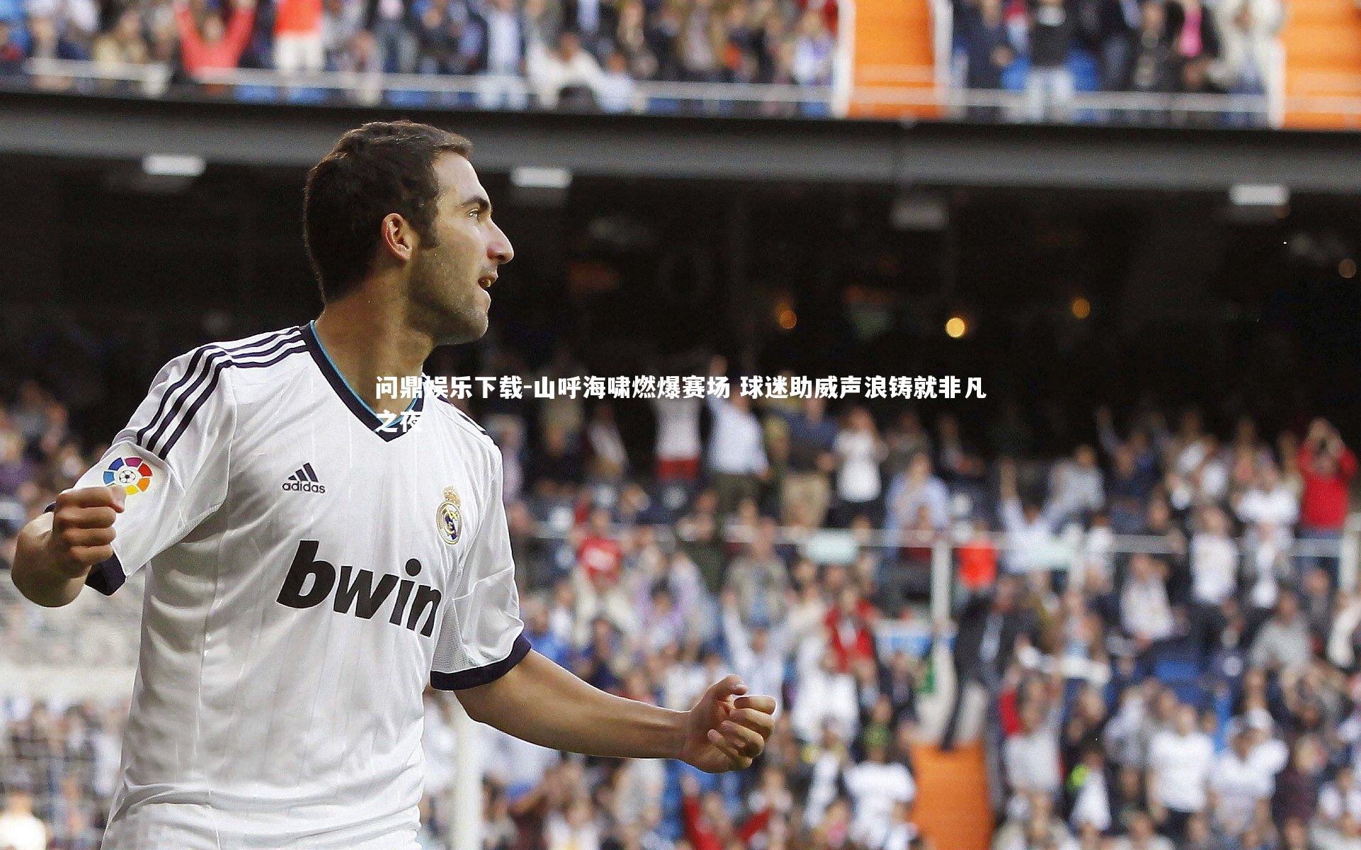 山呼海啸燃爆赛场 球迷助威声浪铸就非凡之夜